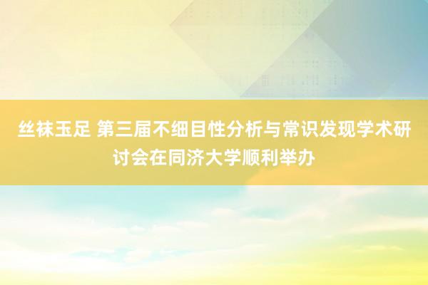 丝袜玉足 第三届不细目性分析与常识发现学术研讨会在同济大学顺利举办