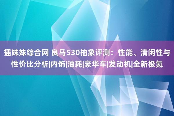 插妹妹综合网 良马530抽象评测：性能、清闲性与性价比分析|内饰|油耗|豪华车|发动机|全新极氪