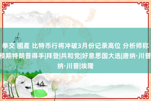 拳交 國產 比特币行将冲破3月份记录高位 分析师称市集预期特朗普得手|拜登|共和党|好意思国大选|唐纳·川普|埃隆