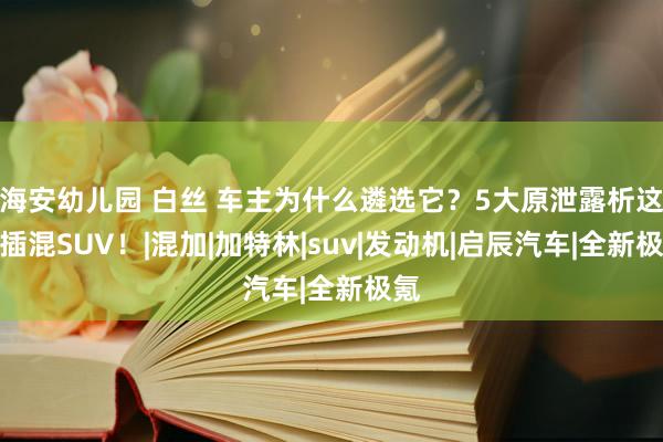 海安幼儿园 白丝 车主为什么遴选它？5大原泄露析这款插混SUV！|混加|加特林|suv|发动机|启辰汽车|全新极氪