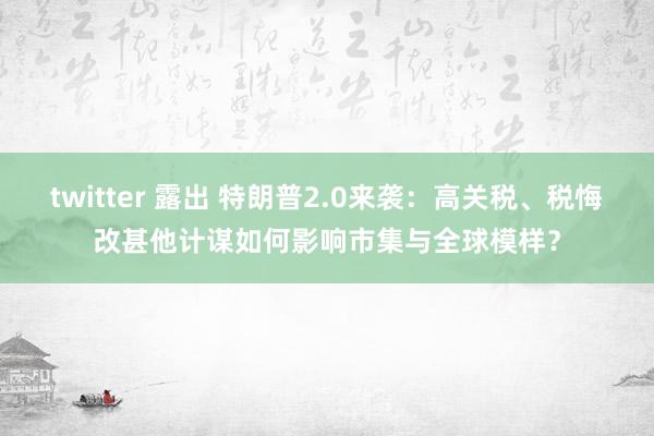 twitter 露出 特朗普2.0来袭：高关税、税悔改甚他计谋如何影响市集与全球模样？