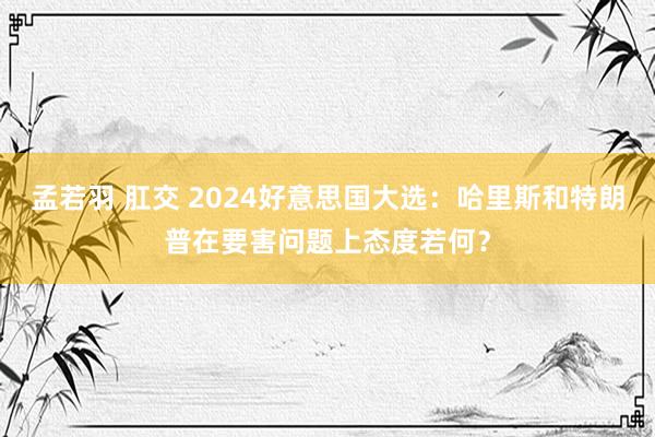 孟若羽 肛交 2024好意思国大选：哈里斯和特朗普在要害问题上态度若何？