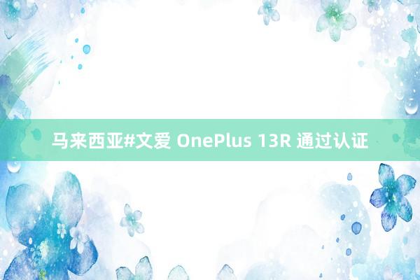 马来西亚#文爱 OnePlus 13R 通过认证